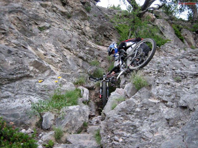 ta-lexikon 36 20140310 1040916656